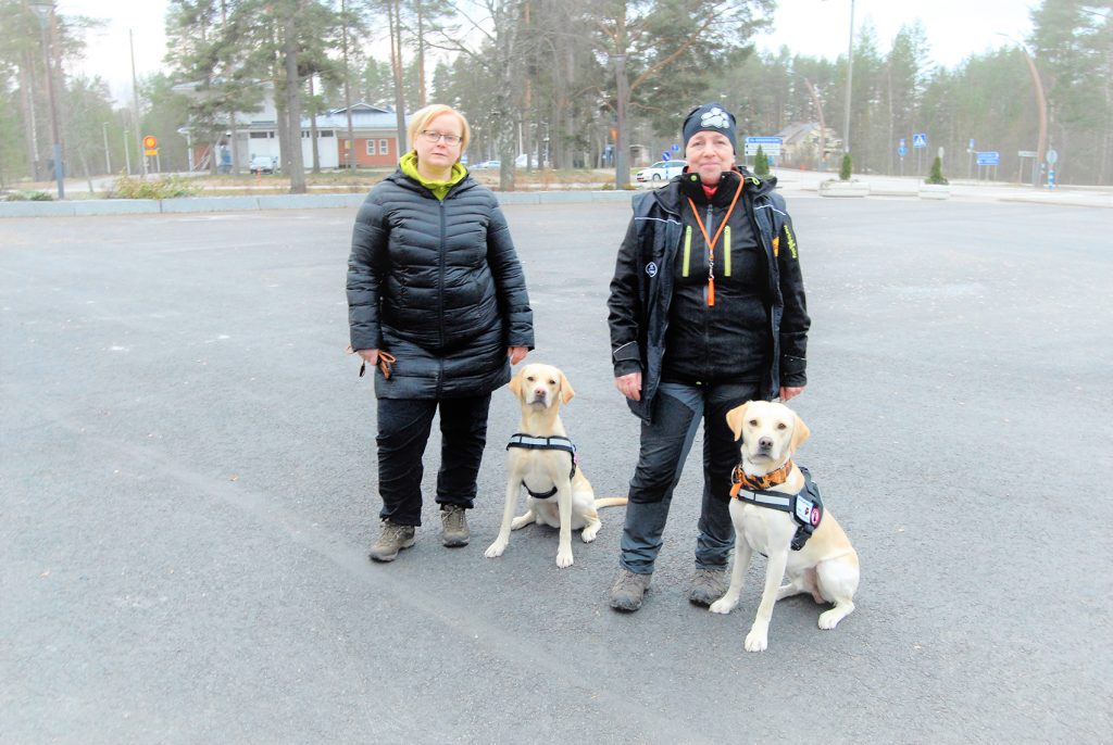 Avustajakoirat Lyyti ja Jätkä lähtevät tositoimiin