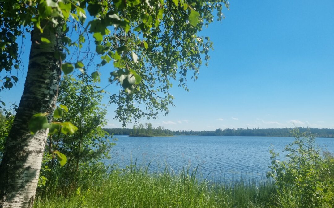 Myrsky suunnittelee tuulivoimaa Toivakkaan – kaavoitusaloite jätetty kunnalle 