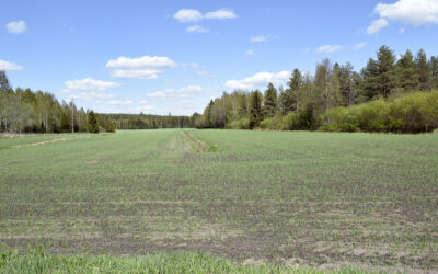 Aikainen kevät muuttuikin melko normaaliksi