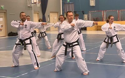 Taekwon-Do vei Mirkan mennessään – alkeiskurssi Korpilahdella syyskuussa