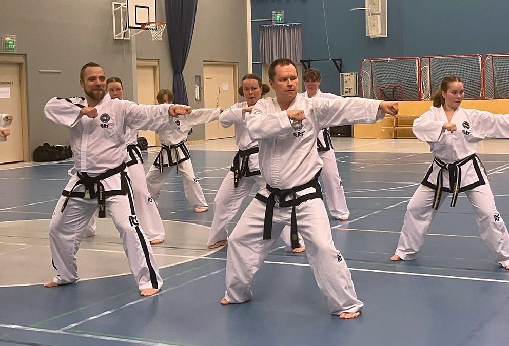Taekwon-Do vei Mirkan mennessään – alkeiskurssi Korpilahdella syyskuussa