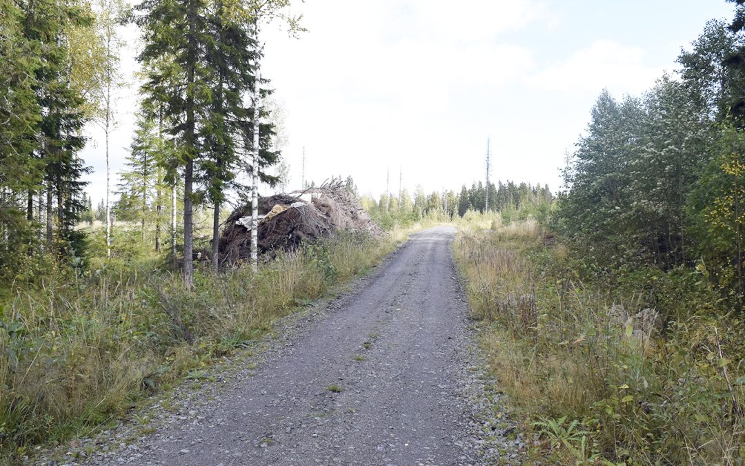 Metsätietuen tukiprosentit laskevat