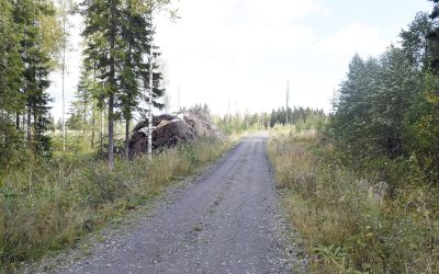 Metsätietuen tukiprosentit laskevat