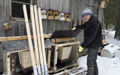 Petäjävedellä pääsee tarkkailemaan lintuja – kolme uutta ruokintapaikkaa