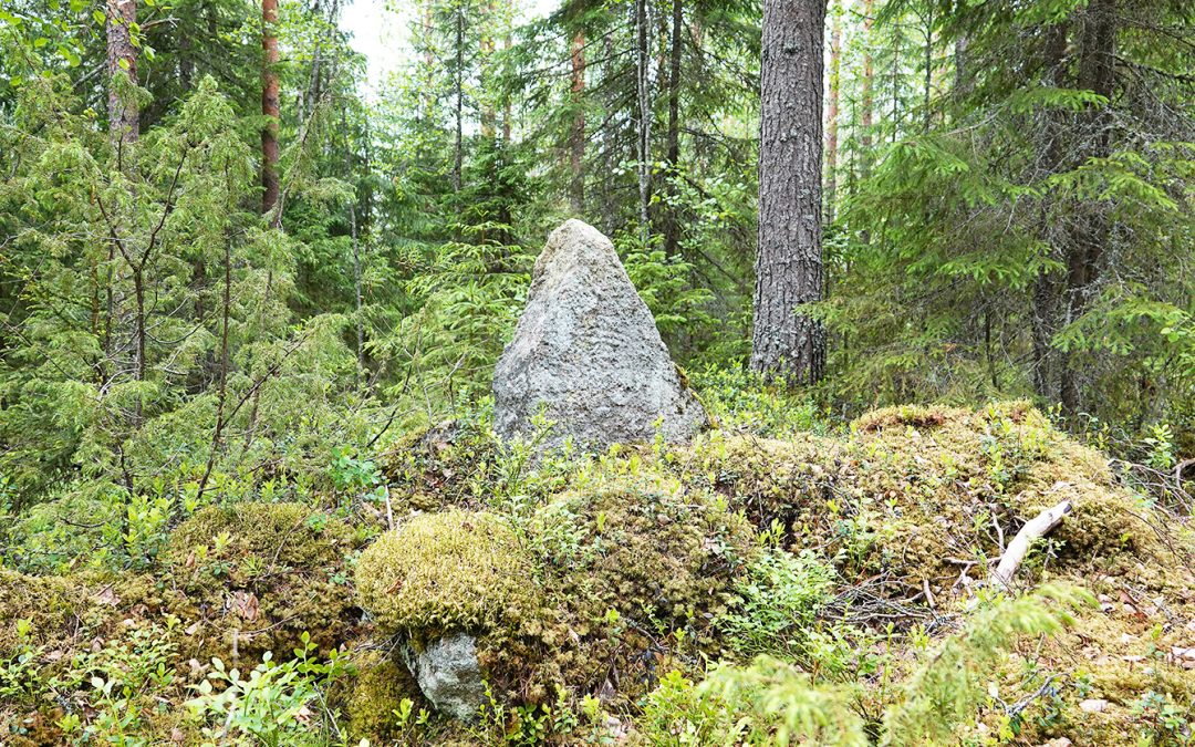 Missä sijaitsevat Petäjäveden uloimmat pisteet?