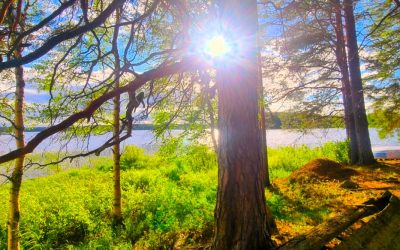 Reppu selkään ja luontoon! – Kirjaston kautta