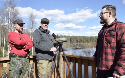Hyttisuon kosteikko Petäjävedellä valmiina linnuille ja lintujen tarkkailijoille