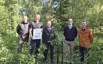 Pro metsä -palkinto Päijänteen mhy:lle