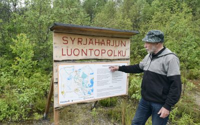 Syrjäharju Petäjävedellä tarjoaa monipuolisen luontokokemuksen