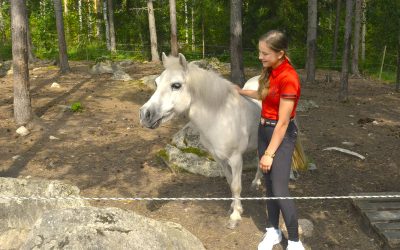 Toivakkalainen Julia Pölkki on menestyvä poniratsastaja – miniponi Hupuliina on hänen silmäteränsä