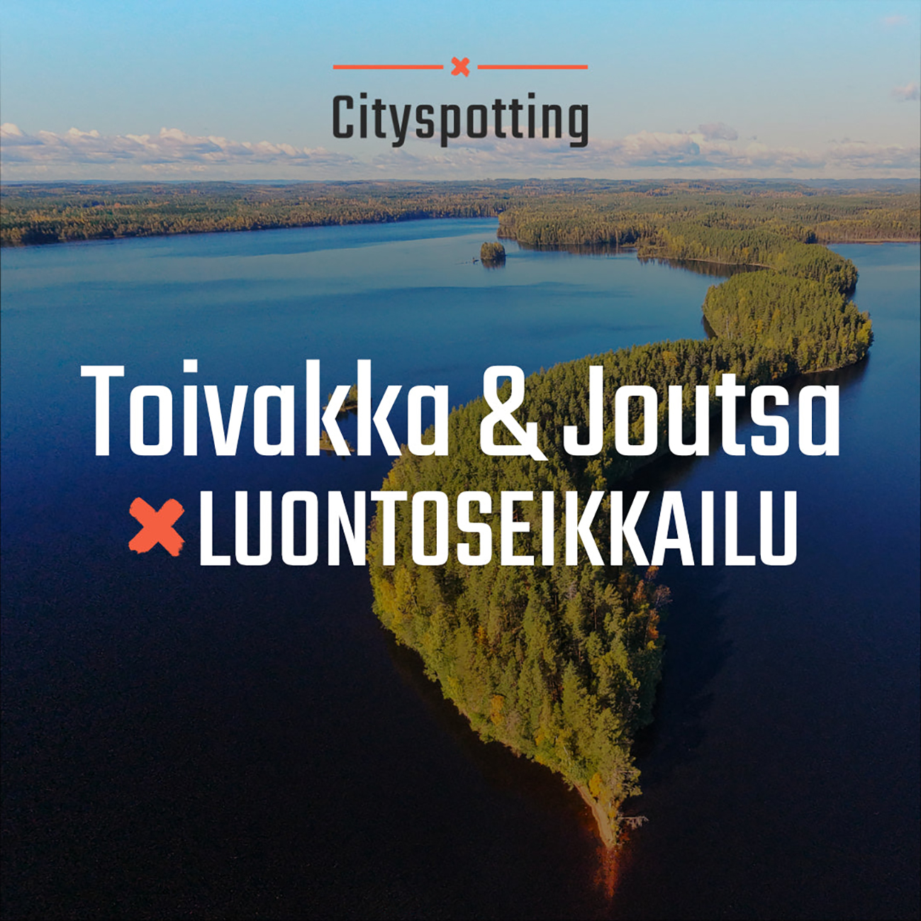 Toivakka_joutsa